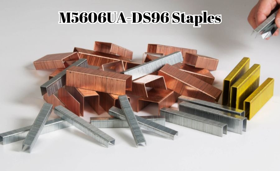 m5606ua-ds96 staples