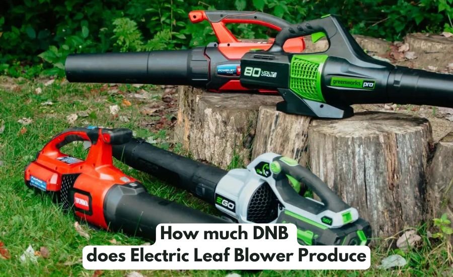 How much DNB 
does Electric Leaf Blower Produce