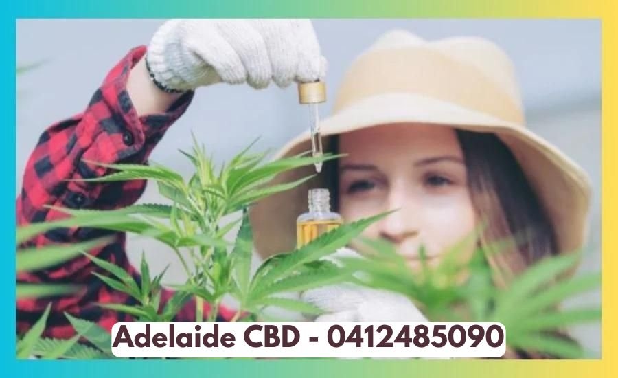 Adelaide CBD - 0412485090