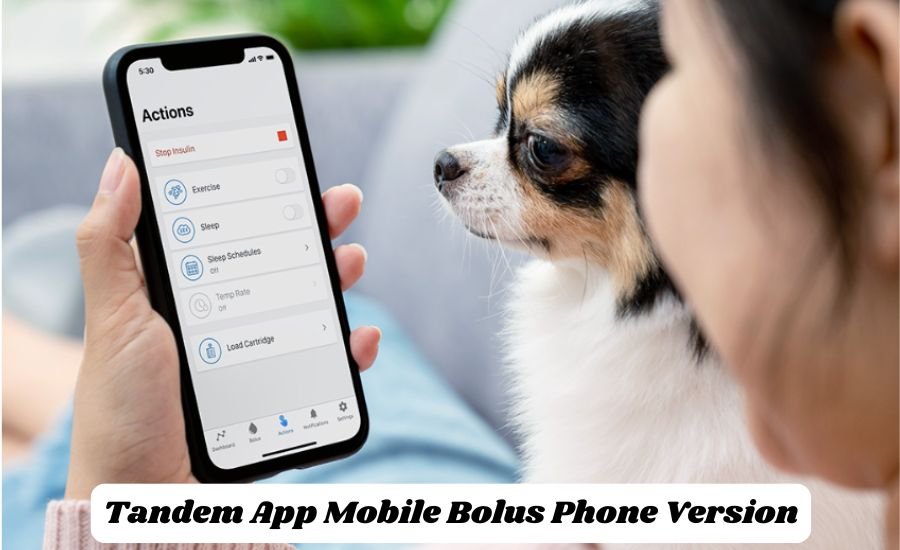 tandem app mobile bolus phone version