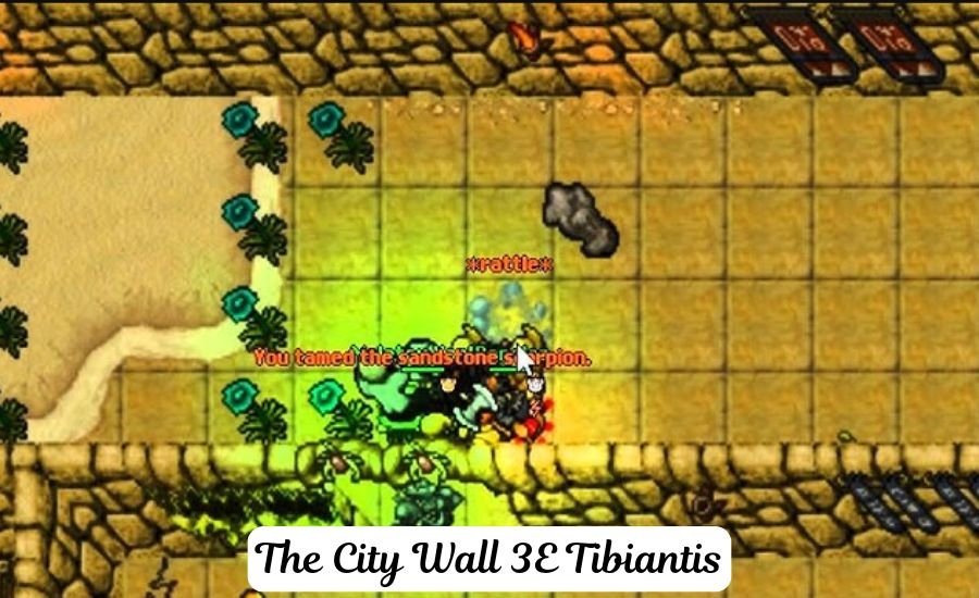 the city wall 3e tibiantis