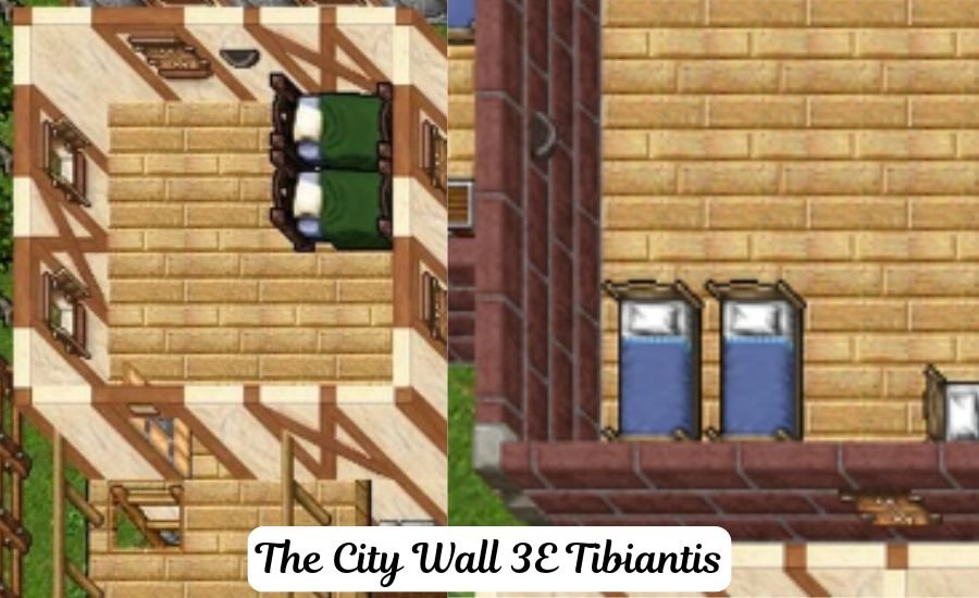 the city wall 3e tibiantis