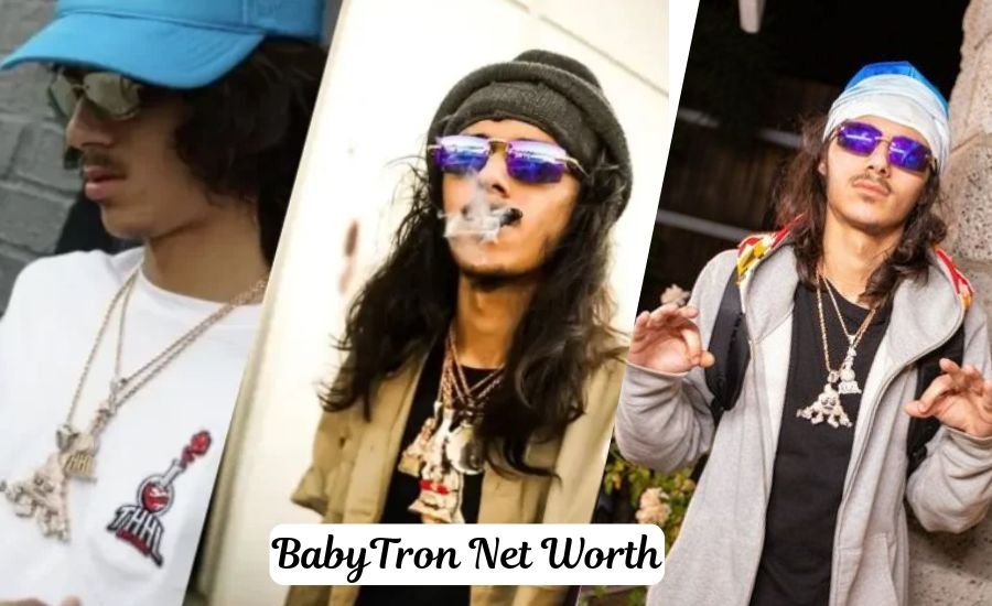 babytron net worth